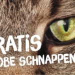 Josera Katzenfutter Probe und Gutschein